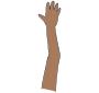 Raise Hand