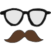 Disguise