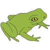 Frog Picture