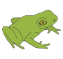 Frog Picture