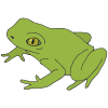 Frog Picture