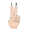 Two
