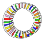 Sensa Wheel