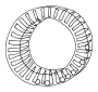 Sensa Wheel