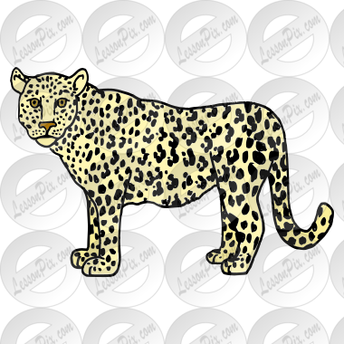 Leopard