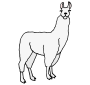 Llama