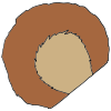 Bear Ear