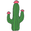 Cactus