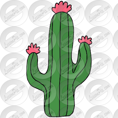 Cactus Picture