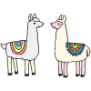 Llamas Picture