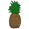Pineapple Picture