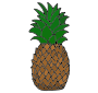 Pineapple  Picture