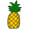 Pineapple Picture