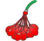 Water Balloons