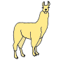 Llama Picture