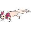 Axolotl