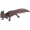 Axolotl