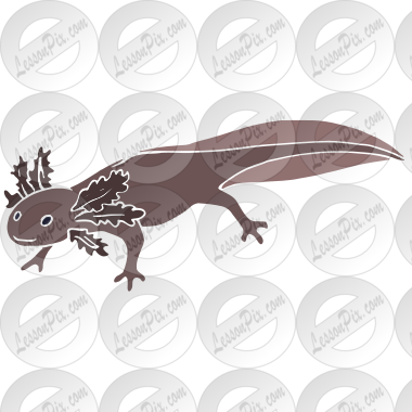 Axolotl Stencil