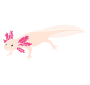Axolotl Stencil