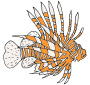 Lionfish Picture