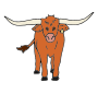Longhorn