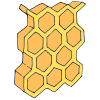 Honeycomb Picture