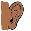 Ear Picture