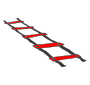 Agility Ladder Picture