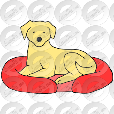 Dog Bed  Picture