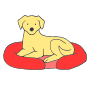 Dog Bed  Picture