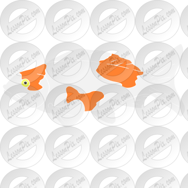 Koi Fish