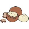 Macadamia Nuts