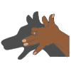 Shadow Puppet