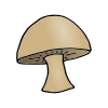 Mushroom Picture