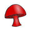 Mushroom Picture