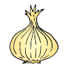 Onion Picture