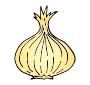 Onion  Picture