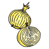 onion Picture