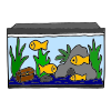 Aquarium Picture