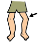 Knee