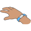 Wrist Band