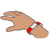 Wrist Band