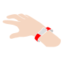 Wrist Band