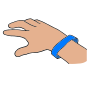 Wristband