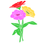 Zinnia