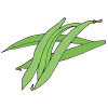 Green Beans