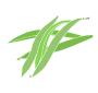 Green Beans