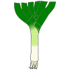 Leek Picture