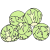 Brussel Sprouts