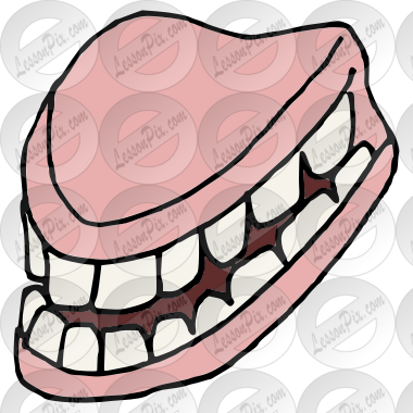 Teeth